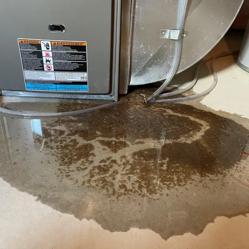 Appliance Leak Cleanup in Ellisville, MS